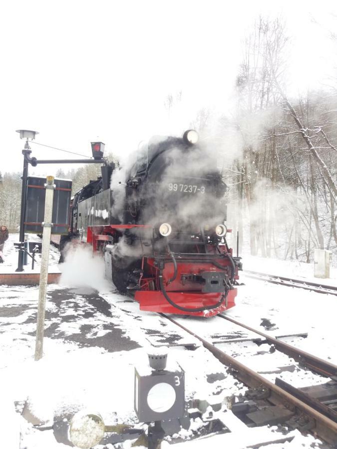 "Ferienhaeuser" Am Waldesrand Mit Und Ohne Garten Knusperhaeuschen, Teufelsloch, Walpurgishuette, Brockenhuette Вернігероде Екстер'єр фото